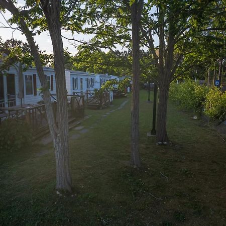 Natur Camping Landshause Burinhosa Dış mekan fotoğraf